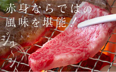 ◆宮崎牛ウデ焼肉(500g1パック)