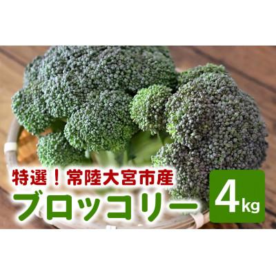 ふるさと納税 常陸大宮市 小野瀬農園の特選ブロッコリー 4kg
