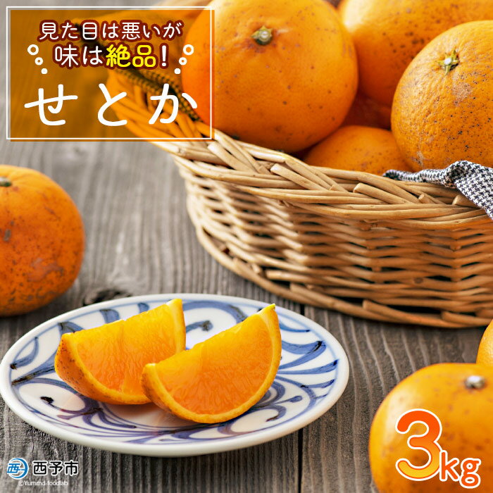 【ふるさと納税】先行予約 ＜見た目は悪いが味は絶品 無茶々園のせとか 約3kg＞果物 みかん ミカン 蜜柑 柑橘 フルーツ 期間限定 季節限定 特産品 無茶々園 愛媛県 西予市 【常温】『2026年2月下旬～3月迄に順次出荷予定』