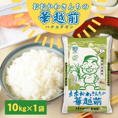 ふるさと納税 坂井市 おおかわさんちの華越前 10kg [B-10803]