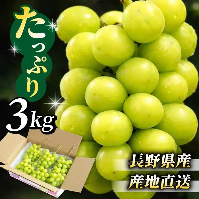 【先行受付2026年発送】東御市産シャインマスカット3kg（5～6房）【秋お届け】 