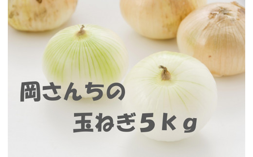 BE012 佐賀県みやき町岡さんちのたまねぎ5kg「２L、３Lサイズ」