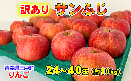 【訳あり】りんご「サンふじ」24～40玉（約10kg）【2025年産・先行予約】★2026年1月以降順次発送予定★青森県 三戸町