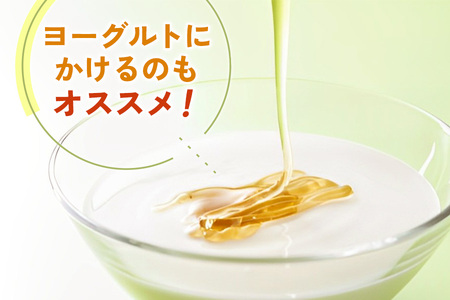 宇佐美養蜂のはちみつセット (百花) 450g×2本「KANRAブランド認定商品」｜国産 純粋はちみつ 蜂蜜 ハチミツ 無添加 とんがり容器 ボトル セット ハニー 産地直送 甘楽町 群馬県 [020