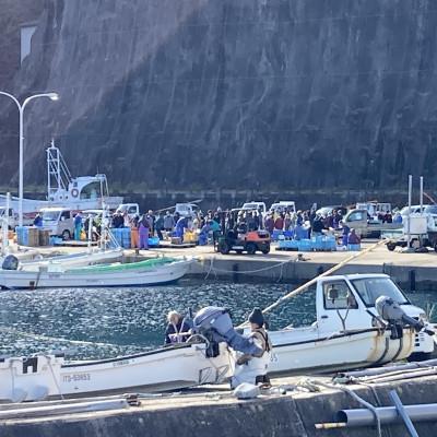 ふるさと納税 田野畑村 【令和7年6月〜順次発送】断崖と荒波で育つ　岩手・北三陸たのはた　瓶入り生うに(約200g入り1本) |  | 02