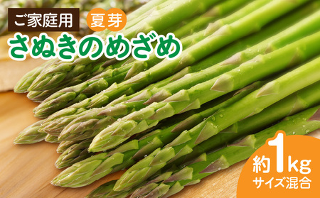 【先行受付】ご家庭用アスパラガス「さぬきのめざめ」(セミロング)夏芽 サイズ混合 約1kg | 野菜 アスパラ アスパラガス さぬきのめざめ 家庭用 夏 冷蔵 新鮮 香川県 三木町 セミロング おすすめ |_mk006-024