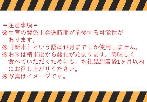 120J.特別栽培米『原の米･きぬむすめ』◇精白米10kg◇令和6年産