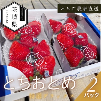 
                  ＜2026年1月順次発送＞風早いちご園  とちおとめ 特選デラックス 2パック【1647797】
                