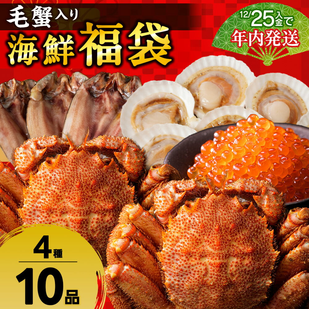 【ふるさと納税】【12月25日決済確定分まで年内発送】毛蟹入り！海鮮福袋＜梅＞いくら ほっけ 一夜干し ほたて 帆立 ボイル 毛がに 毛ガニ 毛蟹 ボイル 蟹 カニ 海鮮 海産物 北海道ふるさと納税 稚内 ふるさと納税 北海道