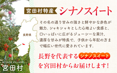 季節のりんご『シナノスイート』（５ｋｇ）（予約制）( りんご シナノスイート  林檎 林檎 )