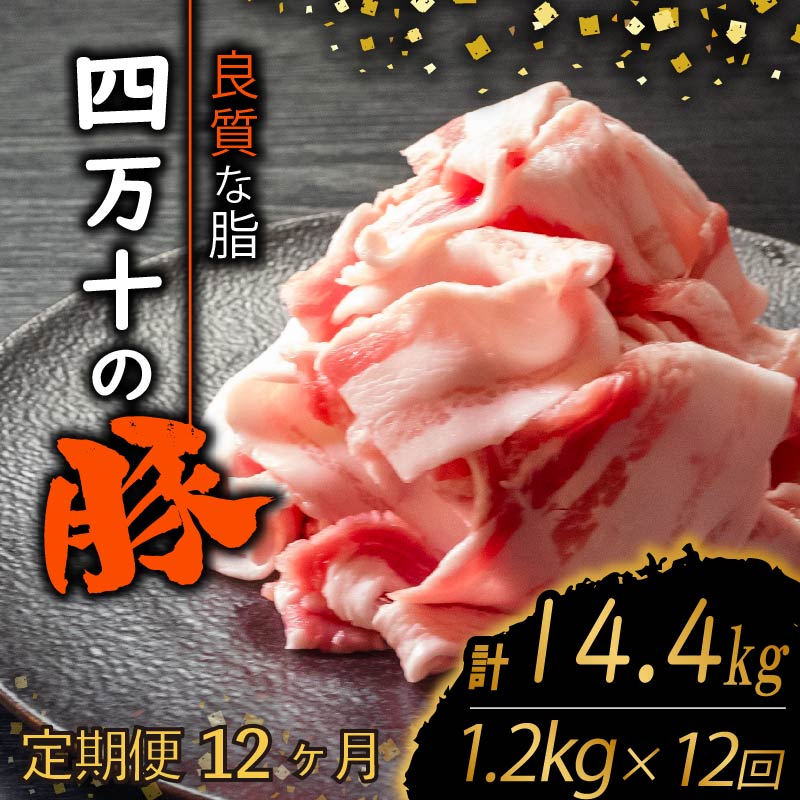 【定期12回】四万十ポークスライス 計14.4kg【1.2kg×12ヶ月連続お届け】 2Gコース