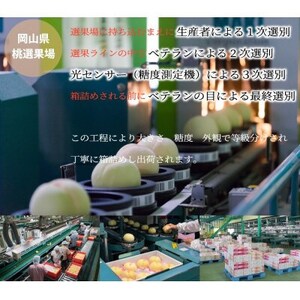 【先行受付】岡山白桃 ロイヤル 5～10玉 2kg 岡山県産【配送不可地域：離島・北海道・沖縄県】【1305708】