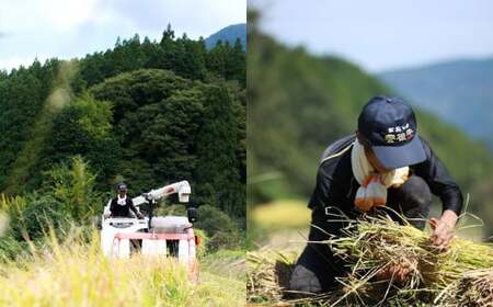 【12ヶ月定期便】さとうファームの有機栽培米 白米 5kg×12回 計60kg ミルキークイーン