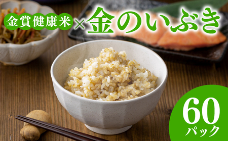 【 ご飯パック 】 金賞 健康米 金のいぶき 120g×60個入り ご飯パック