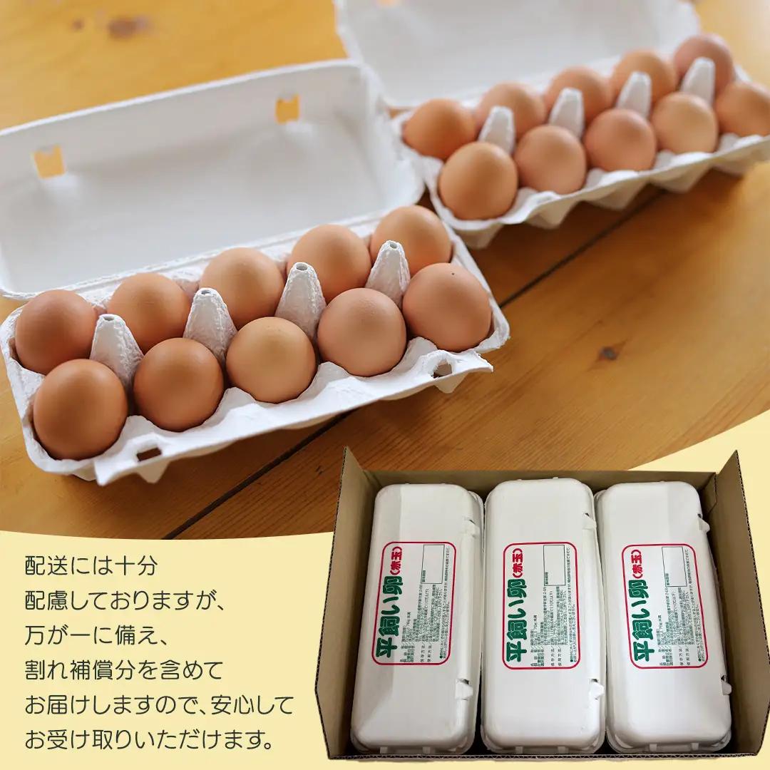 【卵 定期便3か月】純国産鶏「もみじ」平飼い卵 30個×３回  (AJ024) 