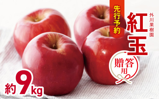 【2026年先行予約】贈答用 紅玉 約9kg ｜外川果樹園  リンゴ りんご 林檎 果物 フルーツ 果実 果汁 紅玉 こうぎょく ギフト 贈答用 長野県 松川村 信州