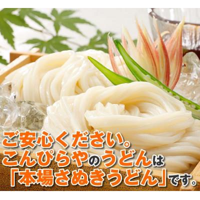 ふるさと納税 まんのう町 【讃岐うどんのこんぴらや】半生うどん『讃岐麺維新』(9袋×240g・つゆ15袋) |  | 03