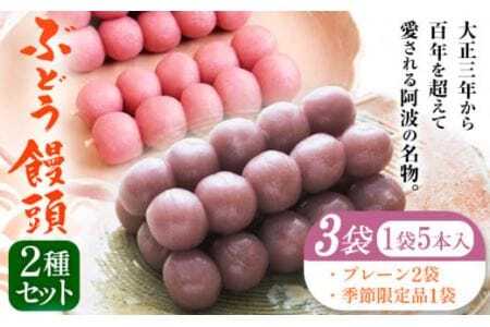 ぶどう饅頭 2種セット 3袋入り 有限会社日乃出本店 《30日以内に出荷予定(土日祝除く)》 徳島県 阿波 ブドウ 饅頭 飴 自家製あん プレーン 季節限定品老舗 和菓子 剣山 穴吹川 贈り物 衛生的 個包装 環境保護 品質保持