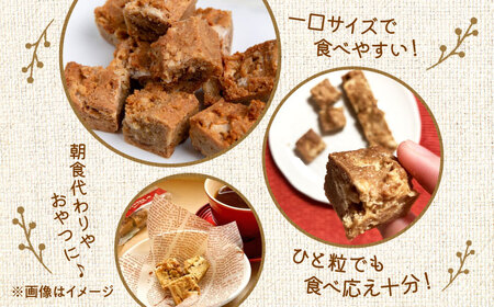 ほんきのしょうが おなかクッキー10袋セット【ジンジベル】[AYAD008]