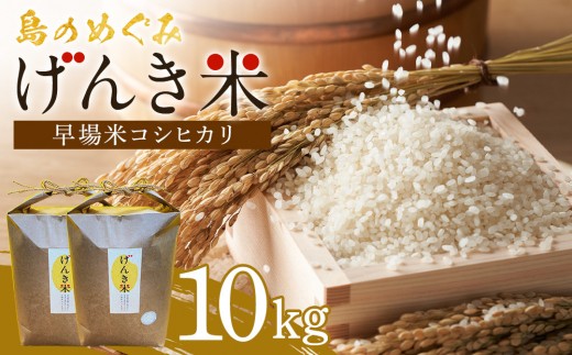 島のめぐみ げんき米 (早場米 コシヒカリ) 10kg (5kg×2袋) | 令和7年産 米 お米 白米 精米 ライス 早場米 コシヒカリ 種子島 種子島産 鹿児島県