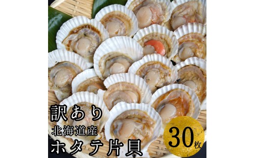 【訳あり】ほたて片貝 30枚入り ウロ処理・洗浄済み殻付きほたて 下処理済 バター焼き ご飯 冷凍 旬 おつまみ 海鮮 せたな町 ふるさと納税
