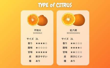 国産 オーガニックフルーツ詰め合わせ 5kg レモン ブラッドオレンジ はるか 不知火 紅八朔 有機JAS認証 選べるサイズ 瀬戸内 広島 大崎上島 離島 有機栽培 安心 安全 オーガニック 柑橘 濃