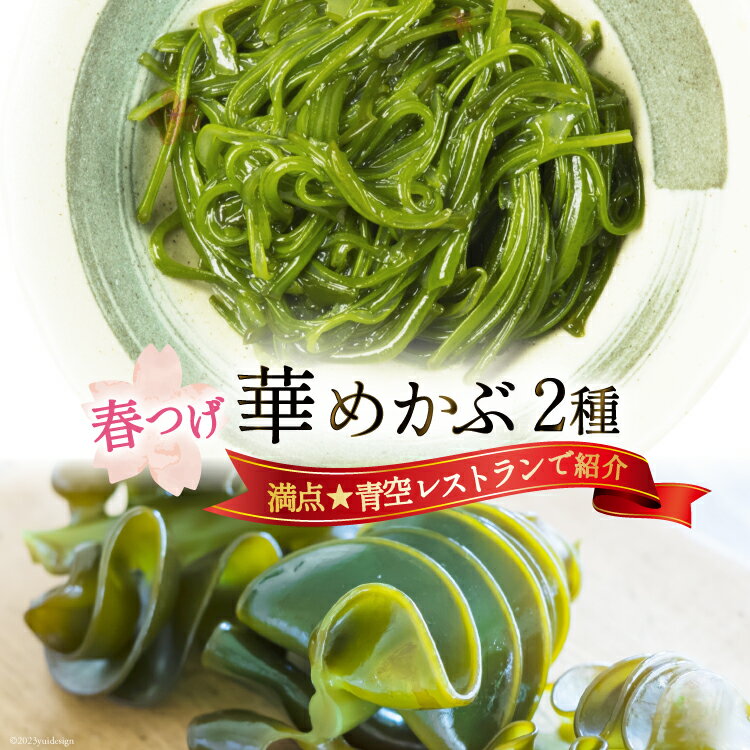 【ふるさと納税】 ＼満点★青空レストランで紹介／ 春つげ華めかぶ セット （千切りメカブ・削ぎメカブ) [第38漁徳丸 宮城県 気仙沼市 20565075] 海藻 メカブ めかぶ 魚介類 芽株 三陸めかぶ 食べ比べ 冷蔵
