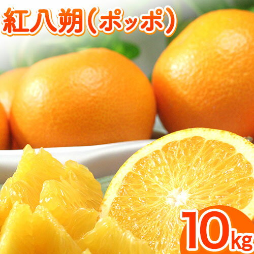【ふるさと納税】紅八朔(ポッポ) 10kg(3L-L) JAわかやま 紀の里地域本部 《2027年3月中旬-3月末頃出荷》 和歌山県 紀の川市 果物 フルーツ 柑橘 はっさく 紅 はっさく ハッサク 送料無料