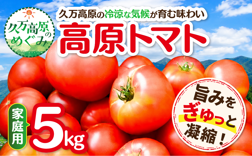 【家庭用】 高原トマト 5kg ｜愛媛県久万高原町産 特別栽培 産地直送 旬 夏野菜 甘み 旨み 新鮮 採れたて ※2026年7月～発送