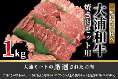 大浦和牛焼肉セット(1kg)《牛肉 牛 国産 焼肉 セット おすすめ ロース 美味しい 牛タン ハラミ ヒレ 食べ比べ バーベキュー》