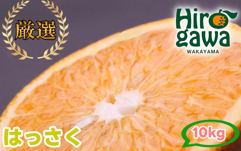 
                  はっさく 10kg+250g（痛み補償分） 厳選 光センサー / 八朔 高級 甘い 和歌山 有田 柑橘 ※1月上旬〜4月上旬頃に順次発送予定 ※北海道・沖縄・離島への配送不可 【ikd021-p-10B】
                