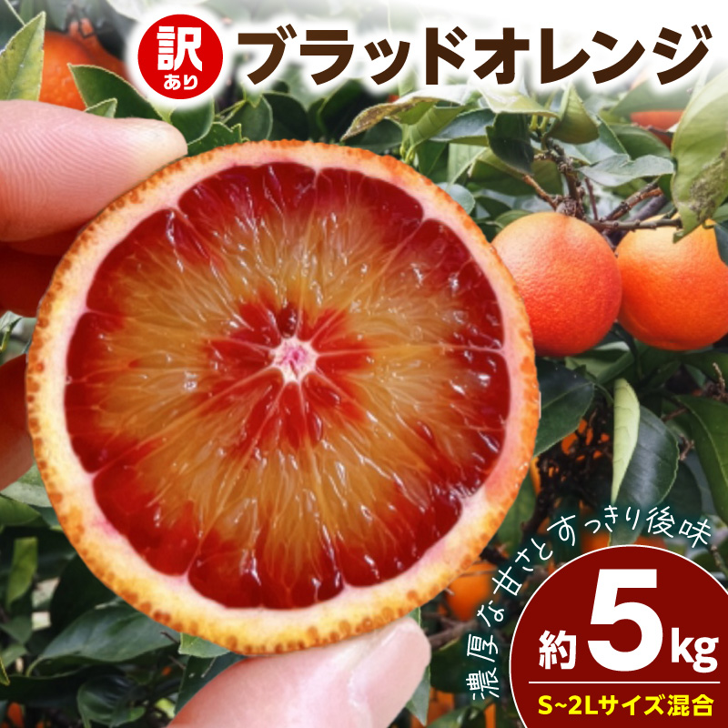 【2027年先行予約】《訳あり 家庭用》ブラッドオレンジ 約5kg（S～2Lサイズ混合）_EQ6012