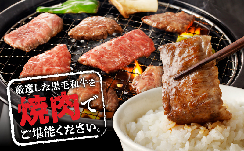 【7営業日以内に発送】【鹿児島黒毛和牛A4〜A5】焼肉上セット（上カルビ/上ロース）　K189-008