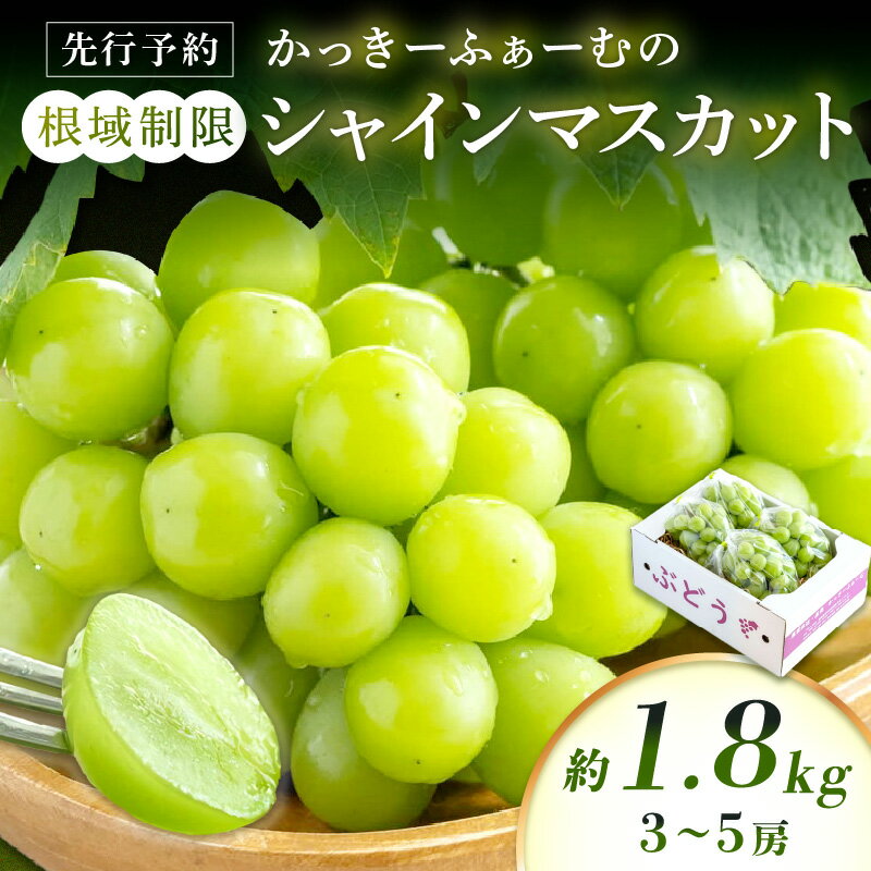 【ふるさと納税】【先行予約】根域制限シャインマスカット 約1.8kg 3〜5房《9月中旬頃から発送》 果物 シャインマスカット 先行予約 【183_1878】