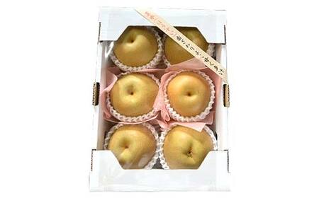 『令和7年産先行受付』 山形県産 和梨 6玉 ※品種おまかせ 秀品 約1.8kg~2kg 梨 洋梨 フルーツ 果物 くだもの 山形県 中山町 F4A-0465
