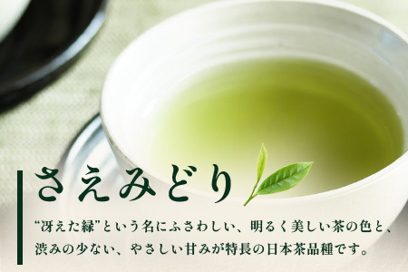 国産 自然栽培 ナナ茶 さえみどり ティーバッグ （2g×15包）×2パック RS-5｜お茶 茶 茶葉 お茶の葉 日本茶 鹿児島茶 おしゃれ ブレンド茶 ケルセチン 無農薬 化学肥料不使用 ティーパッ