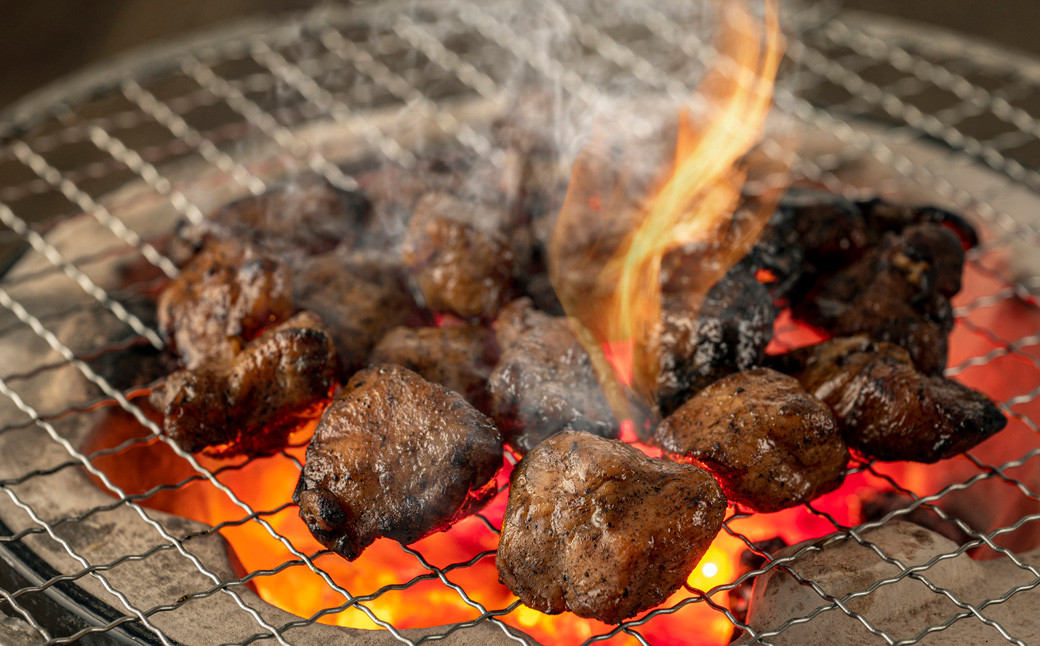 はかた地どり 炭火焼 セット 500g （ 100g ×5パック ）