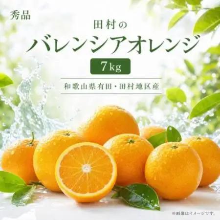 秀品　田村のバレンシアオレンジ　約7kg【配送不可地域：離島】【1766473】