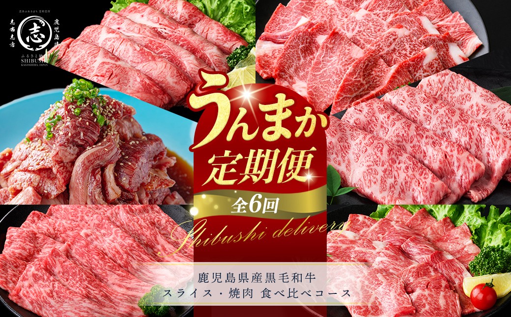 
                  【定期便全6回】鹿児島県産黒毛和牛スライス・焼肉 食べ比べコース！志布志うんまか定期便 牛肉 赤身 モモ 肩ロース 霜降り すき焼き 炒め物 国産 肉 バラエティ セット t0117-004
                