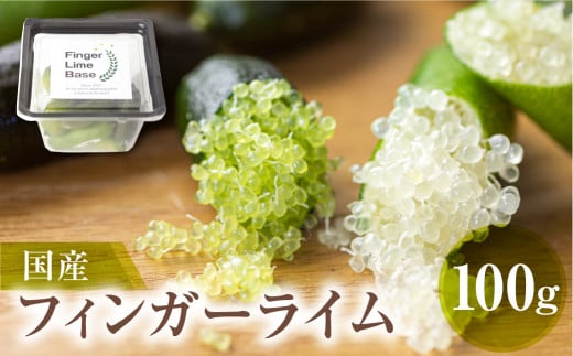 先行予約 フィンガーライムアソート 果実 100g 詰め合せ 品種お任せ フィンガーライム 