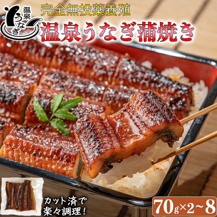 【ふるさと納税】完全無投薬養殖！大分水産の温泉うなぎ蒲焼（カット）70g×2〜8パック 国産 鰻 蒲焼 蒲焼き かば焼き 鰻屋 個包装 冷凍 真空 ＜104-701_5＞
