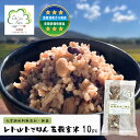 【ふるさと納税】レトルトごはん（五穀玄米） 10パックセット 化学調味料無添加・無菌