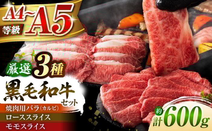 
            くまもと黒毛和牛「藤彩牛」厳選3種の食べ比べ計600g 3901【株式会社フジチク】 [BHAD011]
          