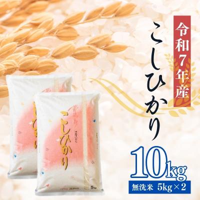 ふるさと納税 福島市 大文字屋米穀店【令和7年産】コシヒカリ精米(無洗米)1等米 10kgNo.2499