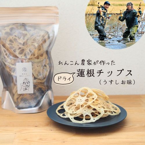 【ふるさと納税】＼新鮮素材／ ドライ 蓮根チップス 乾燥野菜 れんこん チップス うす塩味 おやつ おつまみ 栗田農園 鉾田市 茨城県