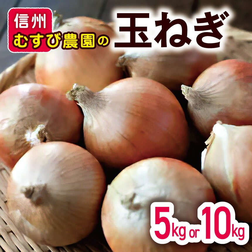 【ふるさと納税】【先行予約】玉ねぎ 長野県産 5kg 10kg むすび農園 | 農薬不使用・化学肥料不使用 植物性肥料 長野県 松本市