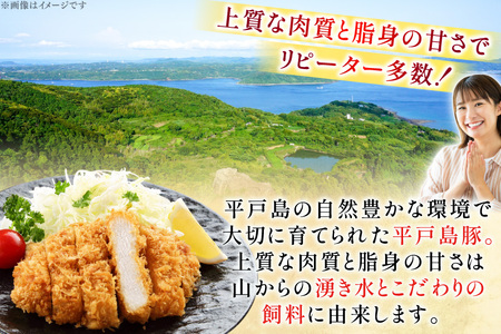 肉 とんかつ用 平戸島豚 ヒレ ロース セット 計約1kg