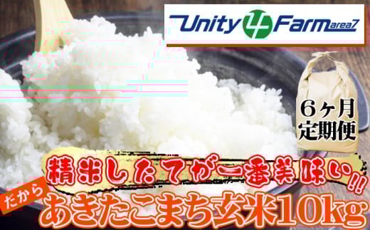 数量限定 岩手県産 あきたこまち 玄米 10kg 6ヶ月 定期便 【ユニティファーム】 米 こめ コメ スーパーフード ヘルシー ごはん ご飯 ライス 国産 産地直送 農家直送 期間限定 おにぎり 弁当 おすすめ 人気 10キロ １０ｋｇ １０キロ 単一原料米 仕送り 6カ月 6か月 6ヵ月 6か月