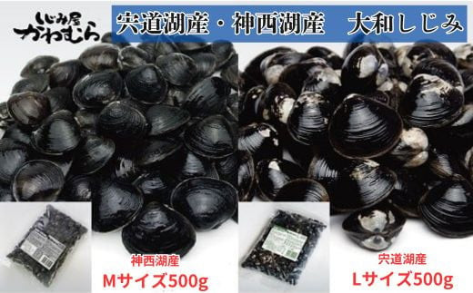 冷凍 砂抜き 大和 しじみ 食べ比べ 宍道湖産 神西湖産（各500g×1袋） 　 | 大和 しじみ 食べ比べ Lサイズ 1kg 宍道湖 神西湖 各500g 小分け 個包装 砂抜き済 貝 詰め合わせ お取り寄せ グルメ kai cai 栄養 料理 調理 レシピ 蜆 島根県 出雲市