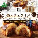 【ふるさと納税】高評価★5.0 シーキューブ の 大人気 スイーツ 「焼きティラミス 18個入り」 酪農日本一 別海町 の バター 使用 ( ふるさと納税 スイーツ 北海道 ふるさと納税 焼菓子 ふるさと納税 焼き菓子 ふるさと納税 お菓子 ギフト 詰め合わせ 訳あり )